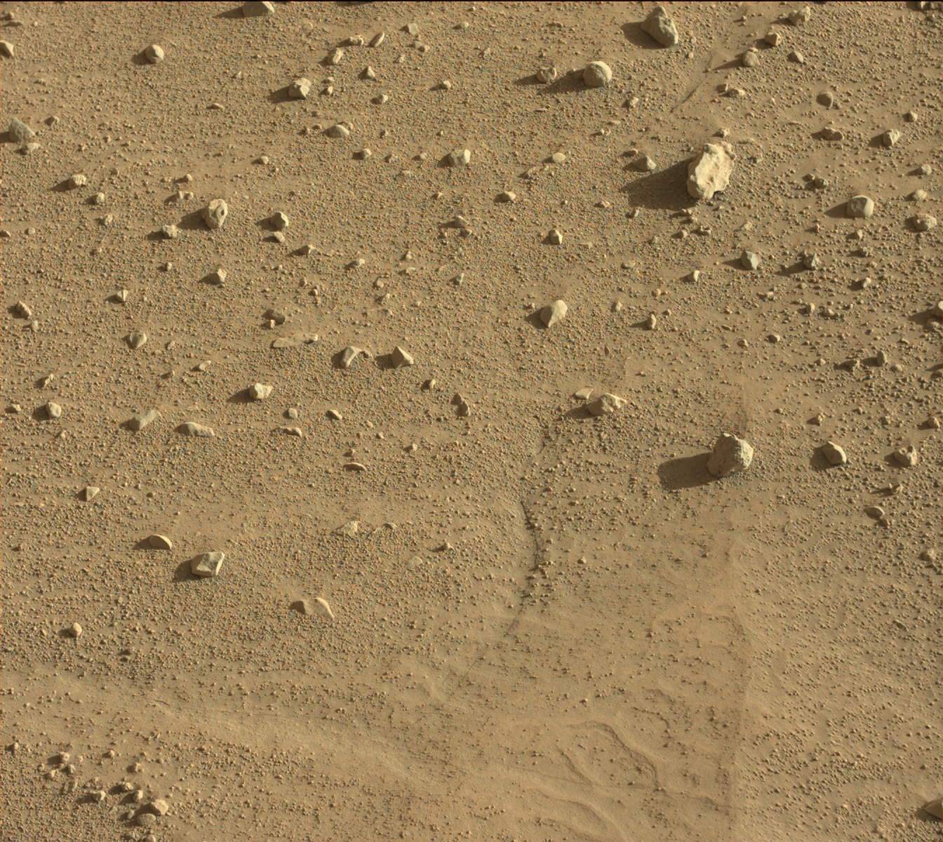 Nasa's Mars rover Curiosity acquired this image using its Mast Camera (Mastcam) on Sol 603