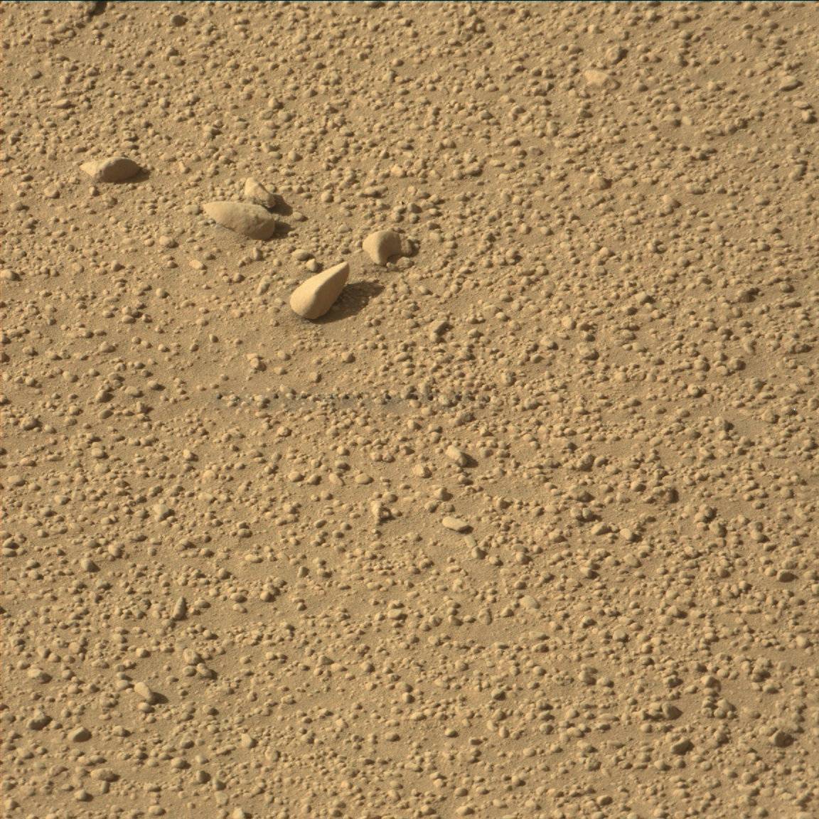 Nasa's Mars rover Curiosity acquired this image using its Mast Camera (Mastcam) on Sol 607
