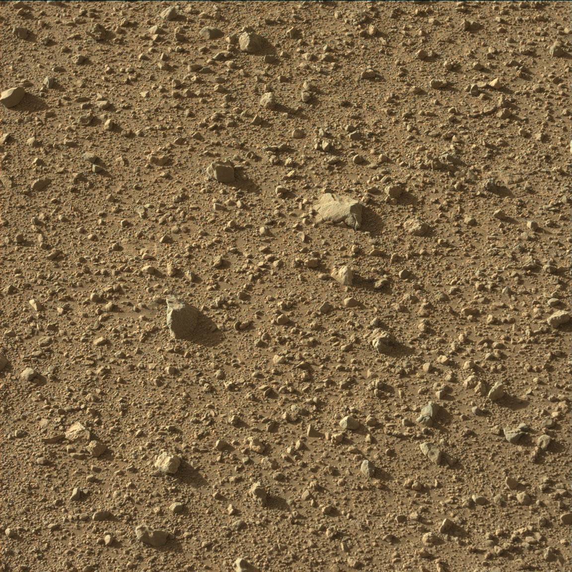 Nasa's Mars rover Curiosity acquired this image using its Mast Camera (Mastcam) on Sol 636