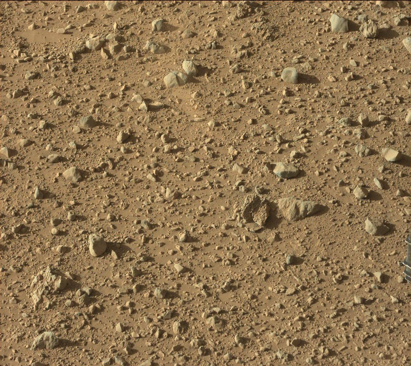Nasa's Mars rover Curiosity acquired this image using its Mast Camera (Mastcam) on Sol 637