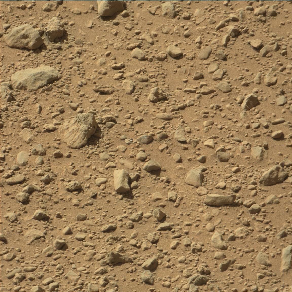 Nasa's Mars rover Curiosity acquired this image using its Mast Camera (Mastcam) on Sol 642