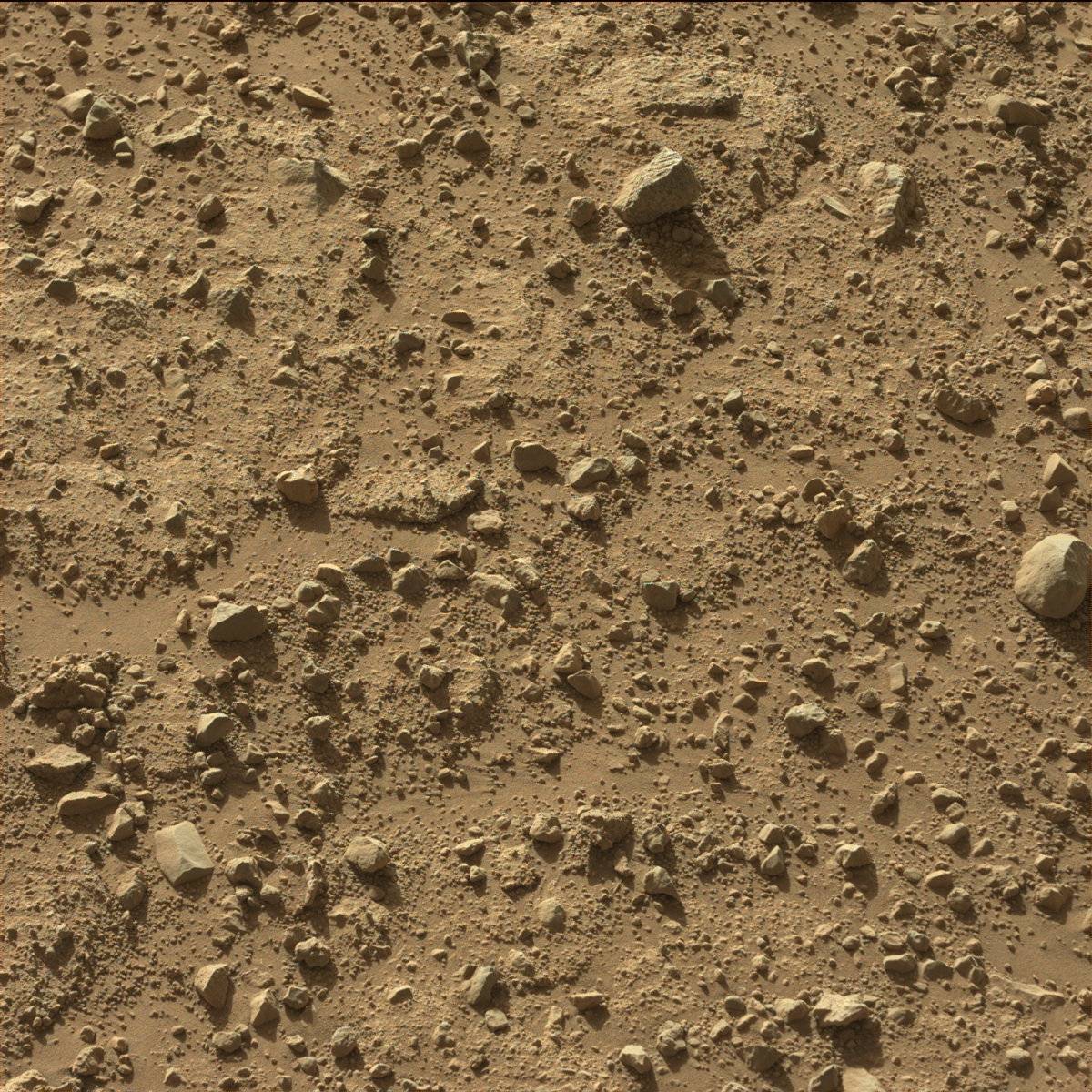Nasa's Mars rover Curiosity acquired this image using its Mast Camera (Mastcam) on Sol 647