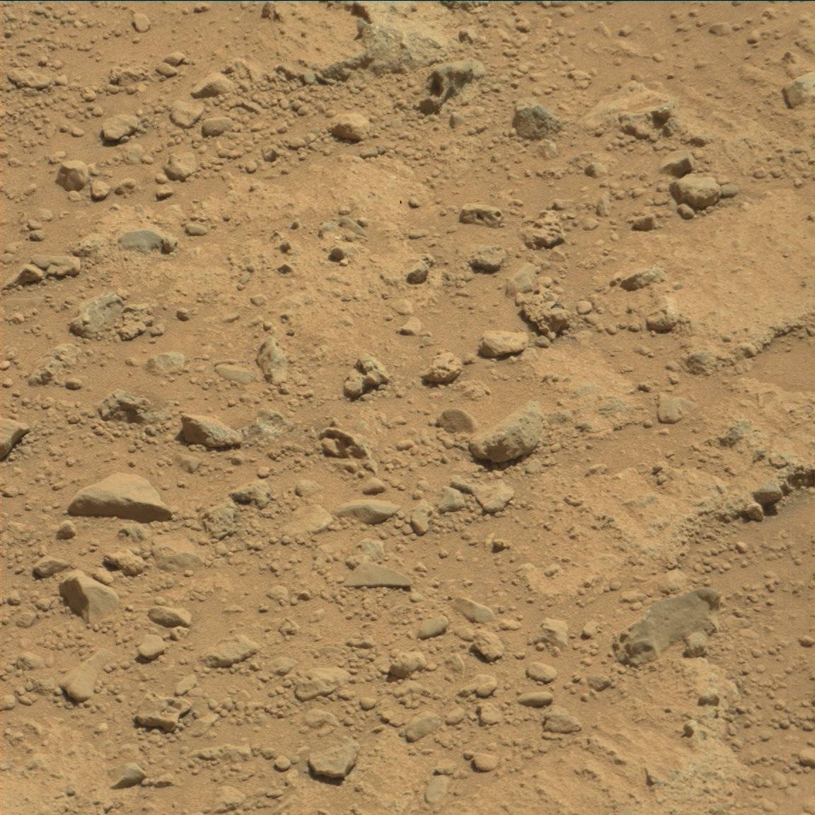 Nasa's Mars rover Curiosity acquired this image using its Mast Camera (Mastcam) on Sol 652