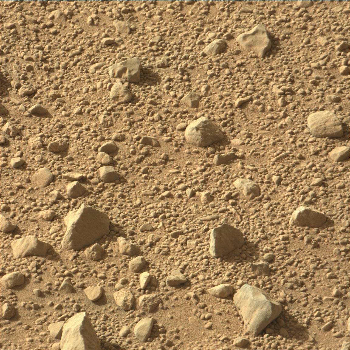 Nasa's Mars rover Curiosity acquired this image using its Mast Camera (Mastcam) on Sol 657