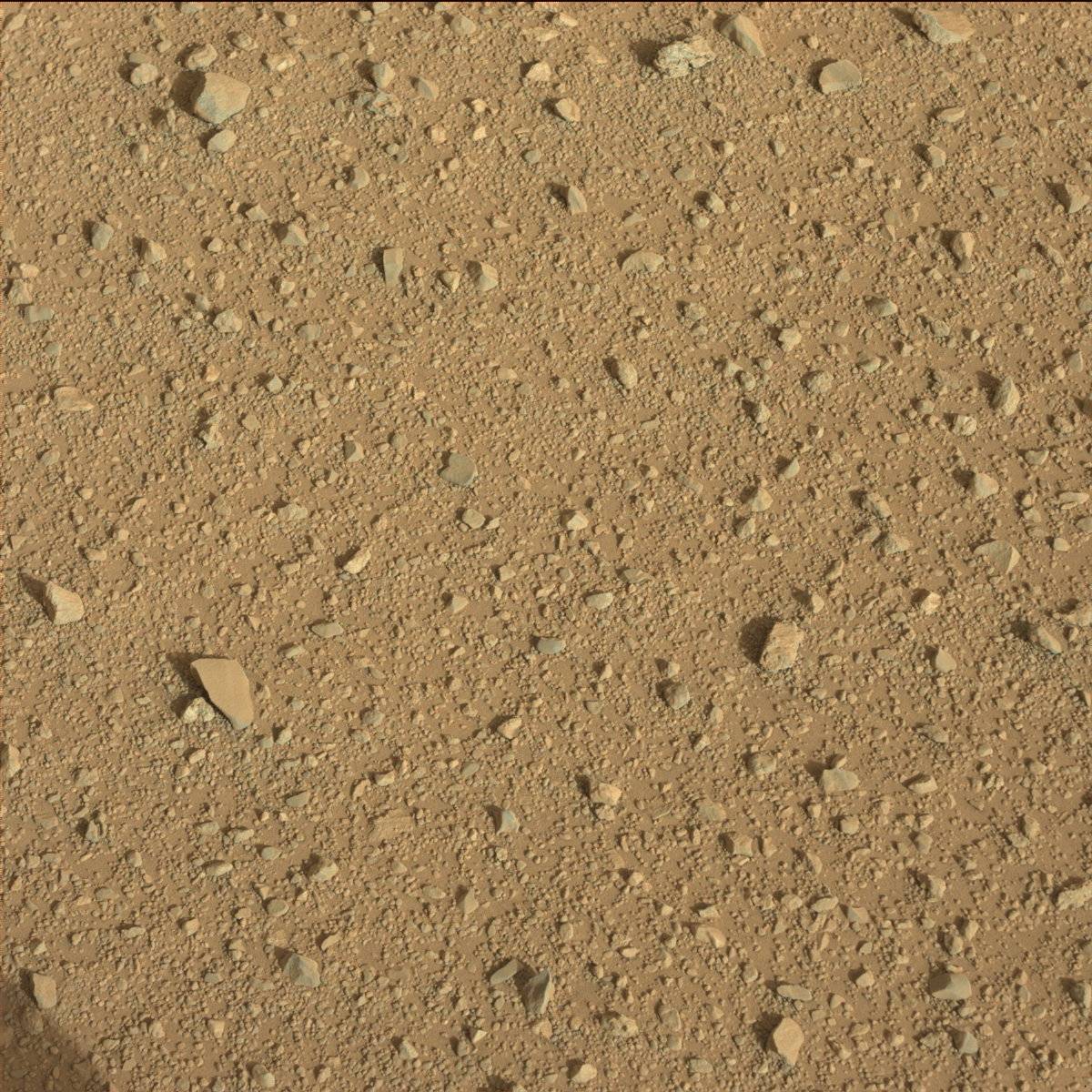 Nasa's Mars rover Curiosity acquired this image using its Mast Camera (Mastcam) on Sol 663