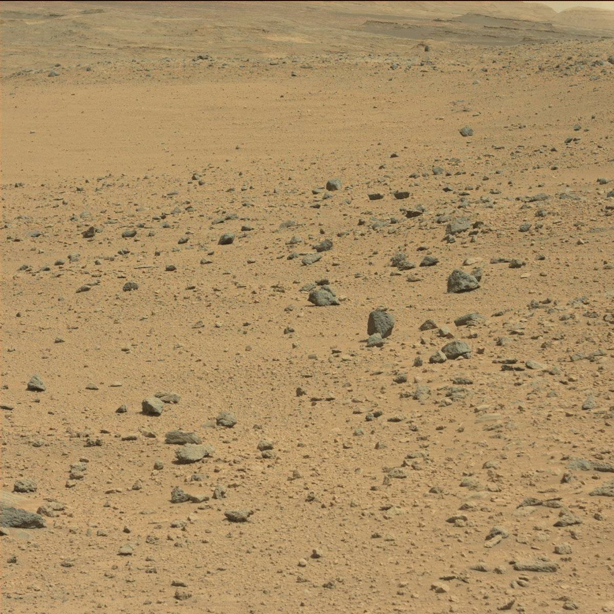 Nasa's Mars rover Curiosity acquired this image using its Mast Camera (Mastcam) on Sol 666