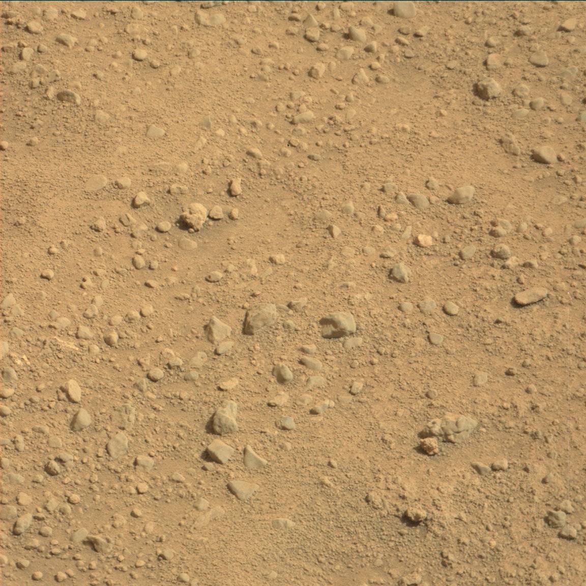 Nasa's Mars rover Curiosity acquired this image using its Mast Camera (Mastcam) on Sol 676