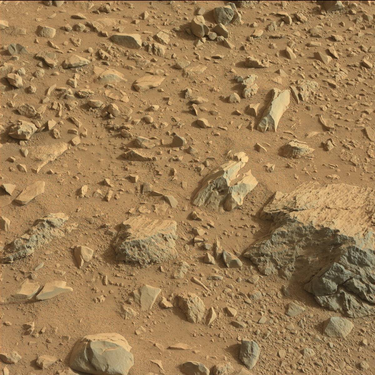 Nasa's Mars rover Curiosity acquired this image using its Mast Camera (Mastcam) on Sol 696