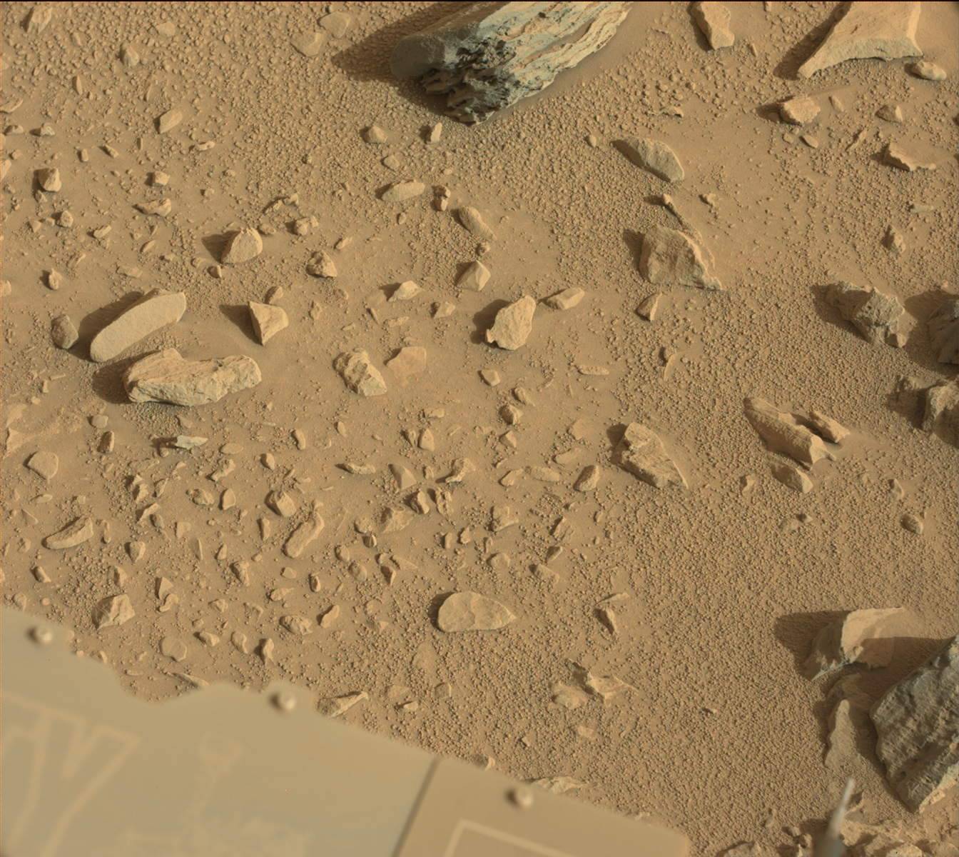 Nasa's Mars rover Curiosity acquired this image using its Mast Camera (Mastcam) on Sol 702