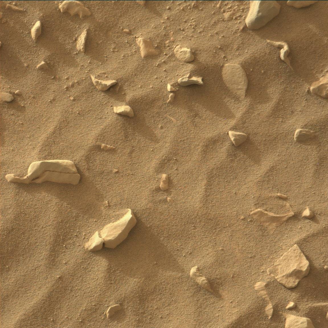 Nasa's Mars rover Curiosity acquired this image using its Mast Camera (Mastcam) on Sol 706