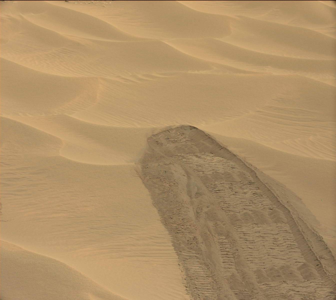 Nasa's Mars rover Curiosity acquired this image using its Mast Camera (Mastcam) on Sol 711