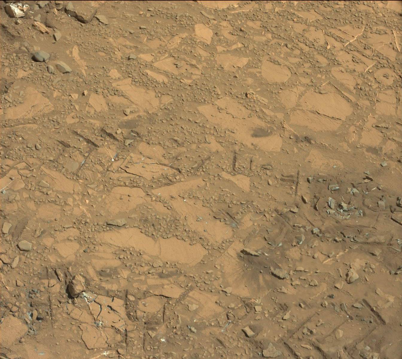 Nasa's Mars rover Curiosity acquired this image using its Mast Camera (Mastcam) on Sol 717