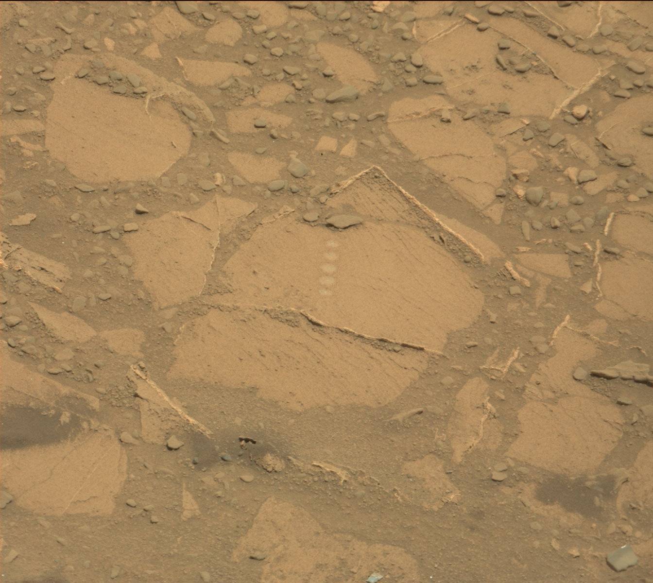 Nasa's Mars rover Curiosity acquired this image using its Mast Camera (Mastcam) on Sol 719
