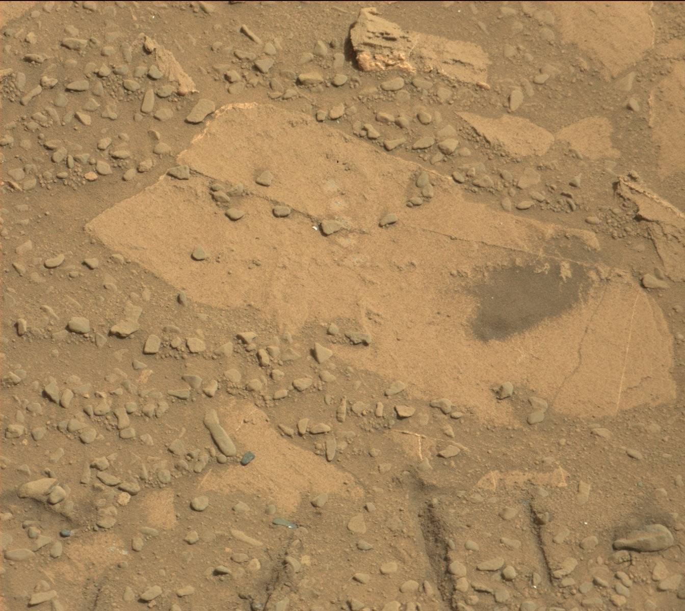 Nasa's Mars rover Curiosity acquired this image using its Mast Camera (Mastcam) on Sol 719
