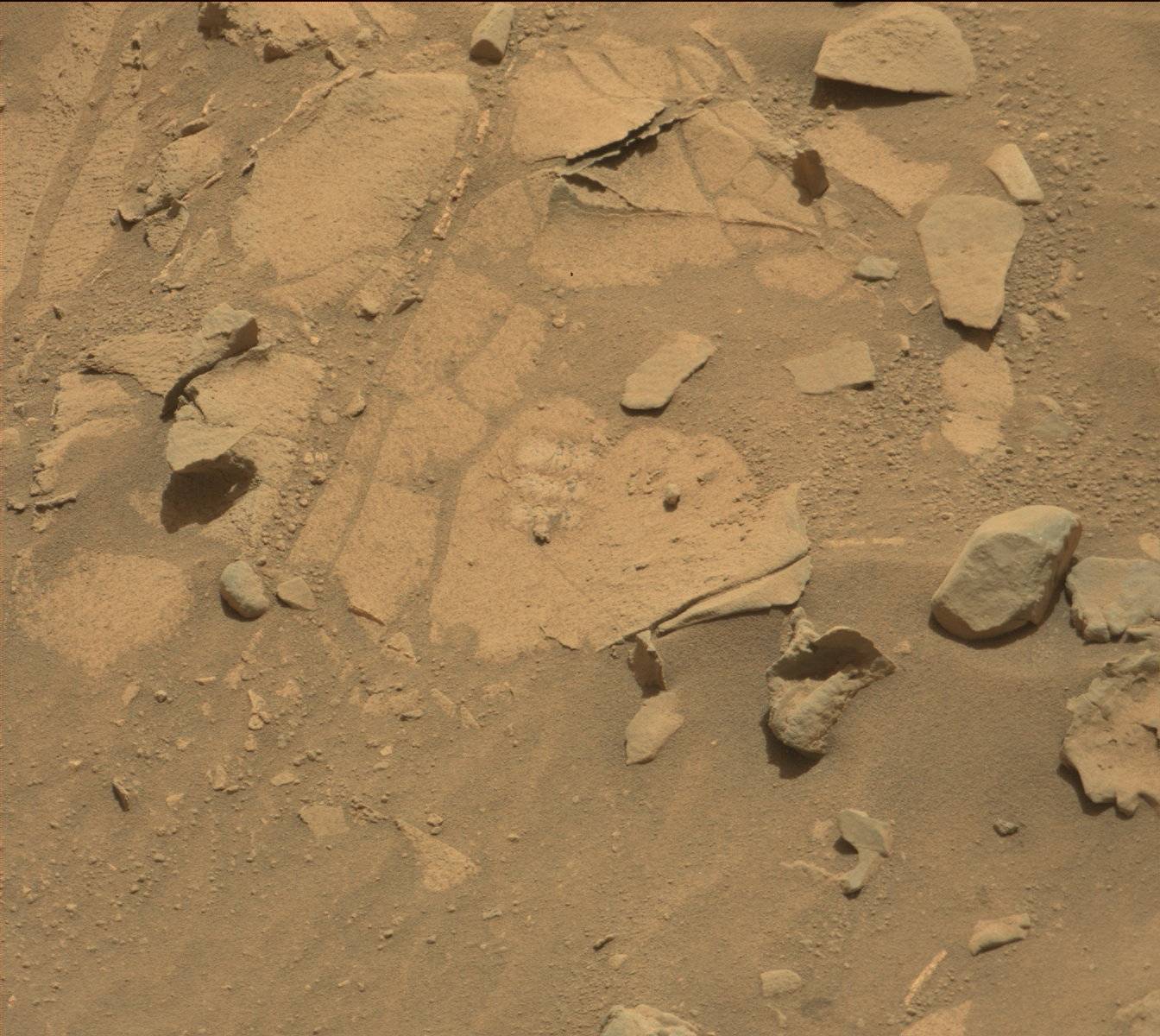 Nasa's Mars rover Curiosity acquired this image using its Mast Camera (Mastcam) on Sol 727