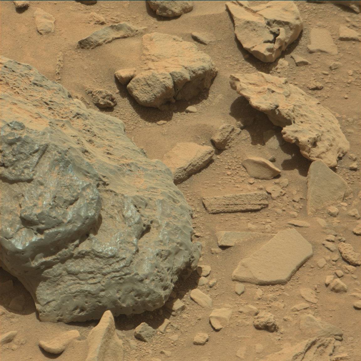 Nasa's Mars rover Curiosity acquired this image using its Mast Camera (Mastcam) on Sol 730