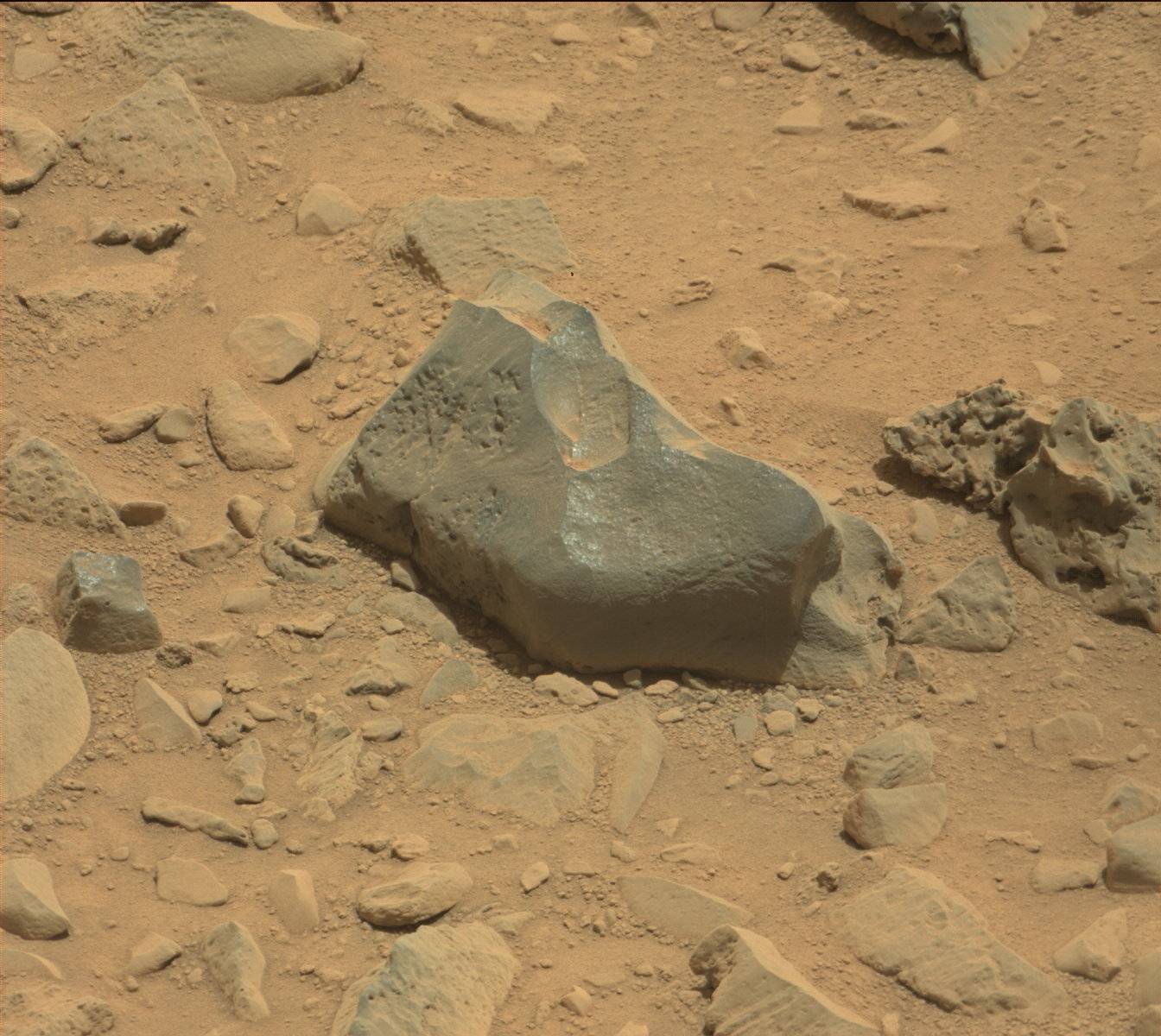 Nasa's Mars rover Curiosity acquired this image using its Mast Camera (Mastcam) on Sol 731