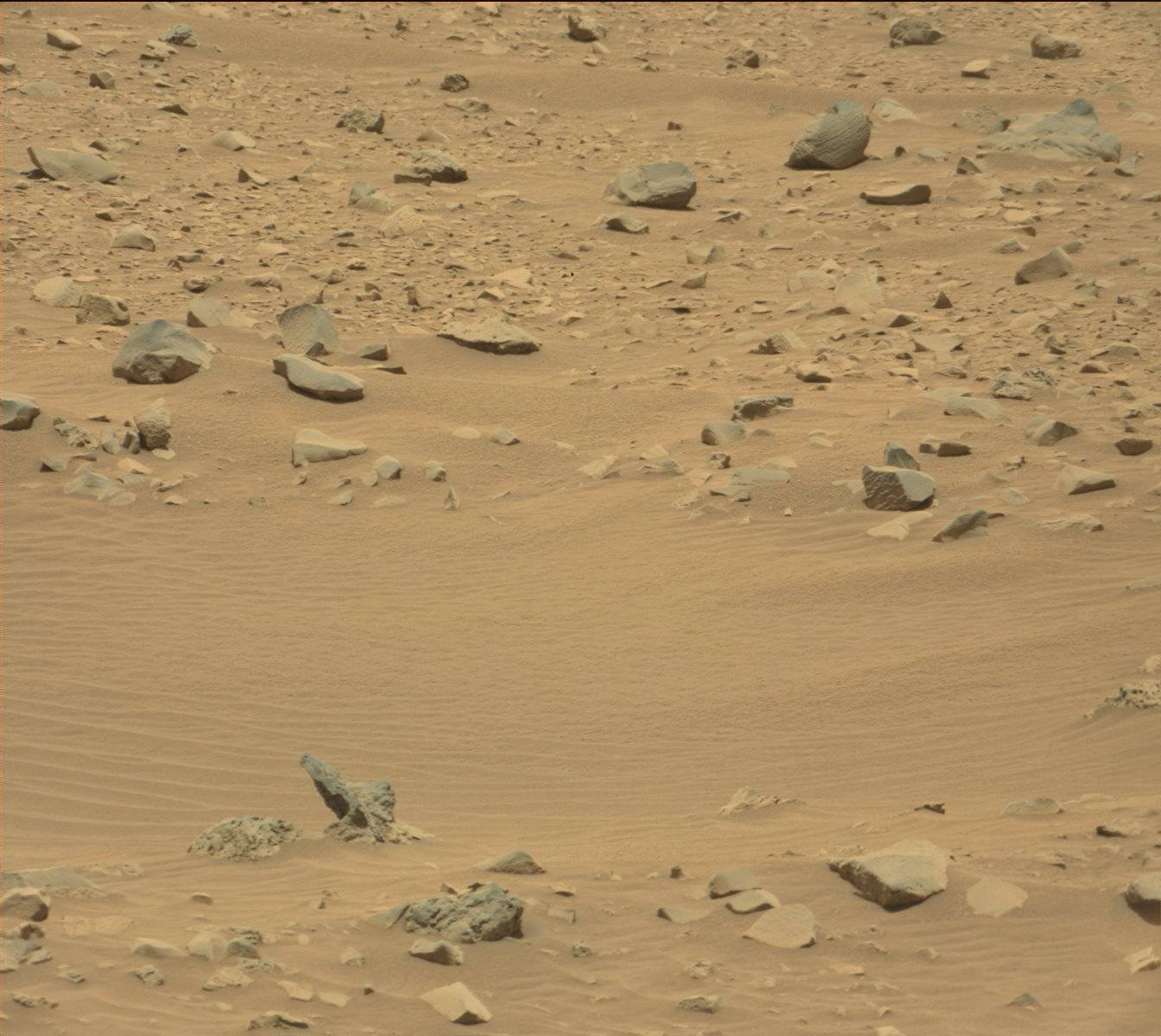Nasa's Mars rover Curiosity acquired this image using its Mast Camera (Mastcam) on Sol 733