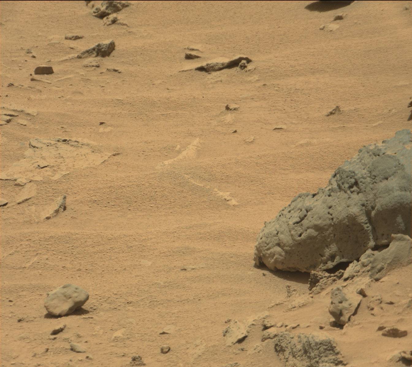 Nasa's Mars rover Curiosity acquired this image using its Mast Camera (Mastcam) on Sol 733
