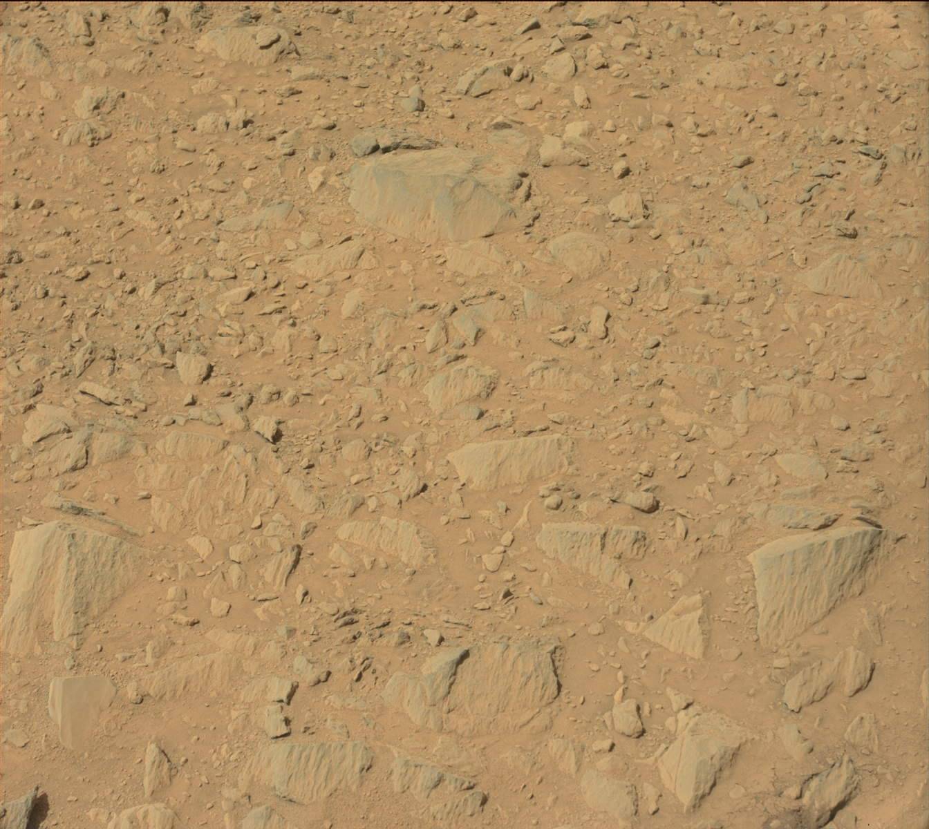 Nasa's Mars rover Curiosity acquired this image using its Mast Camera (Mastcam) on Sol 738
