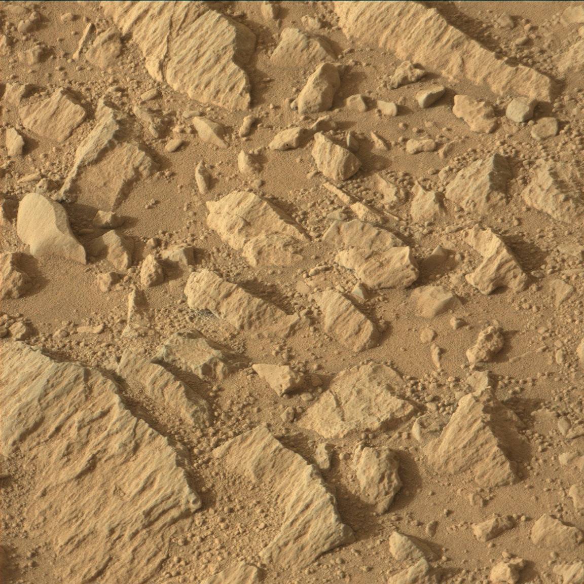Nasa's Mars rover Curiosity acquired this image using its Mast Camera (Mastcam) on Sol 738