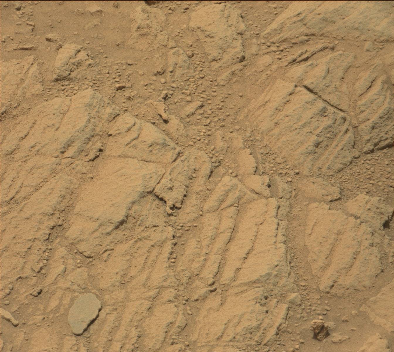 Nasa's Mars rover Curiosity acquired this image using its Mast Camera (Mastcam) on Sol 740
