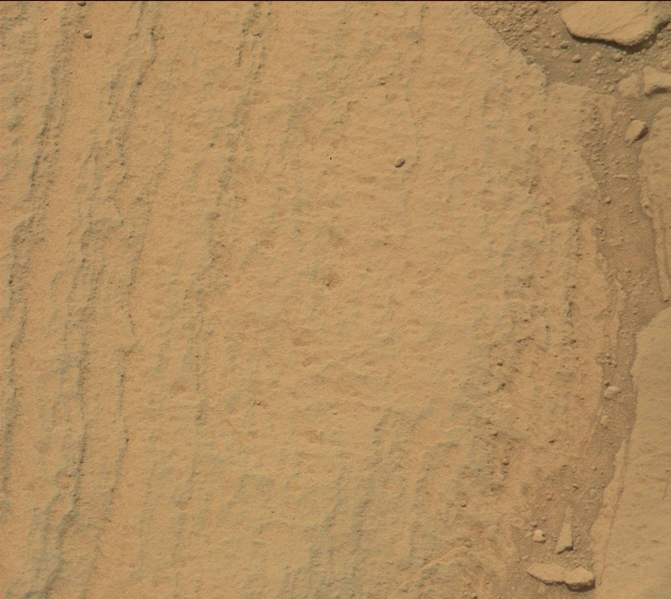 Nasa's Mars rover Curiosity acquired this image using its Mast Camera (Mastcam) on Sol 740