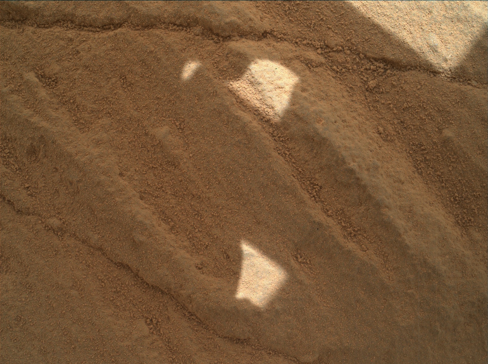 Nasa's Mars rover Curiosity acquired this image using its Mars Hand Lens Imager (MAHLI) on Sol 742