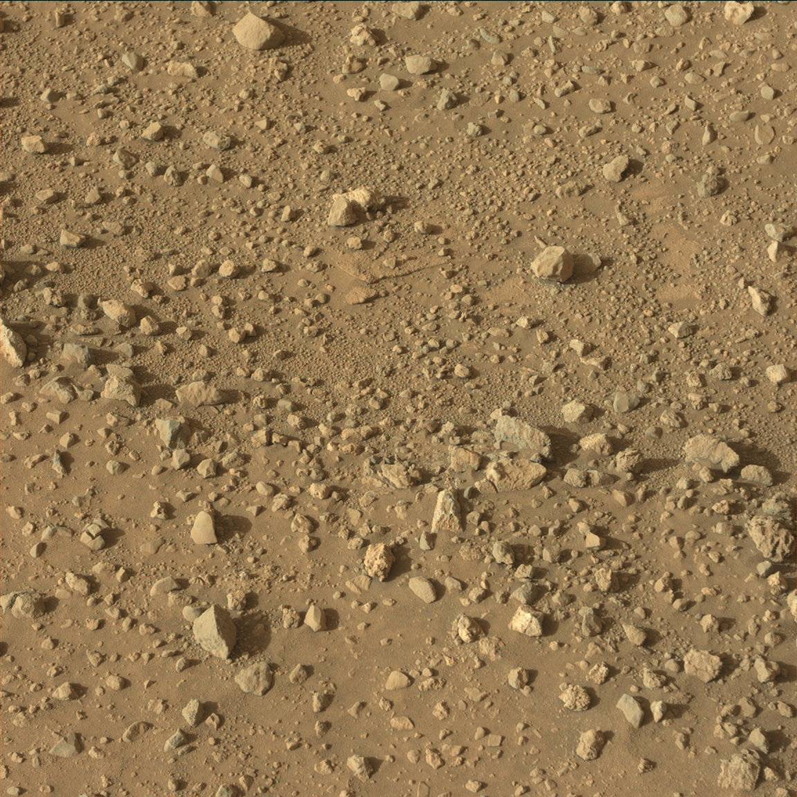 Nasa's Mars rover Curiosity acquired this image using its Mast Camera (Mastcam) on Sol 743