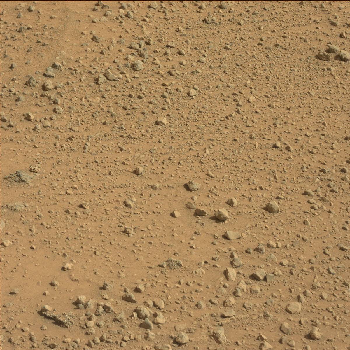 Nasa's Mars rover Curiosity acquired this image using its Mast Camera (Mastcam) on Sol 752
