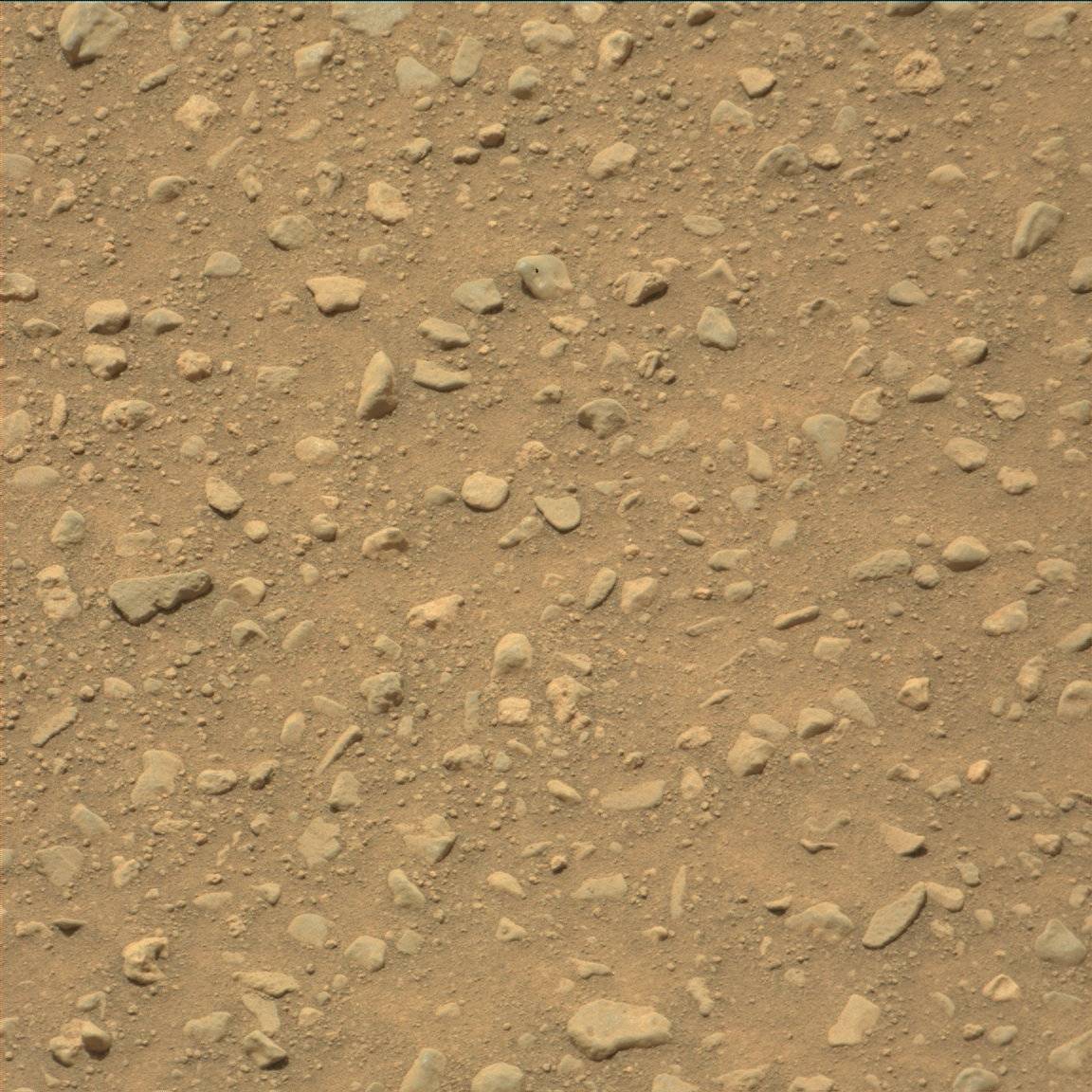 Nasa's Mars rover Curiosity acquired this image using its Mast Camera (Mastcam) on Sol 754