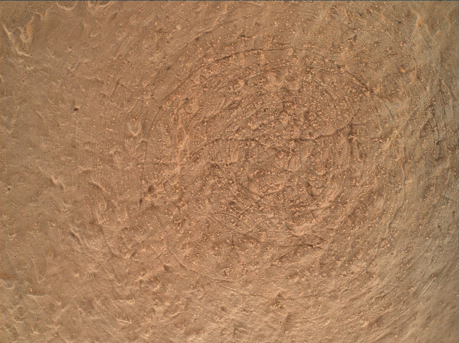 Nasa's Mars rover Curiosity acquired this image using its Mars Hand Lens Imager (MAHLI) on Sol 755