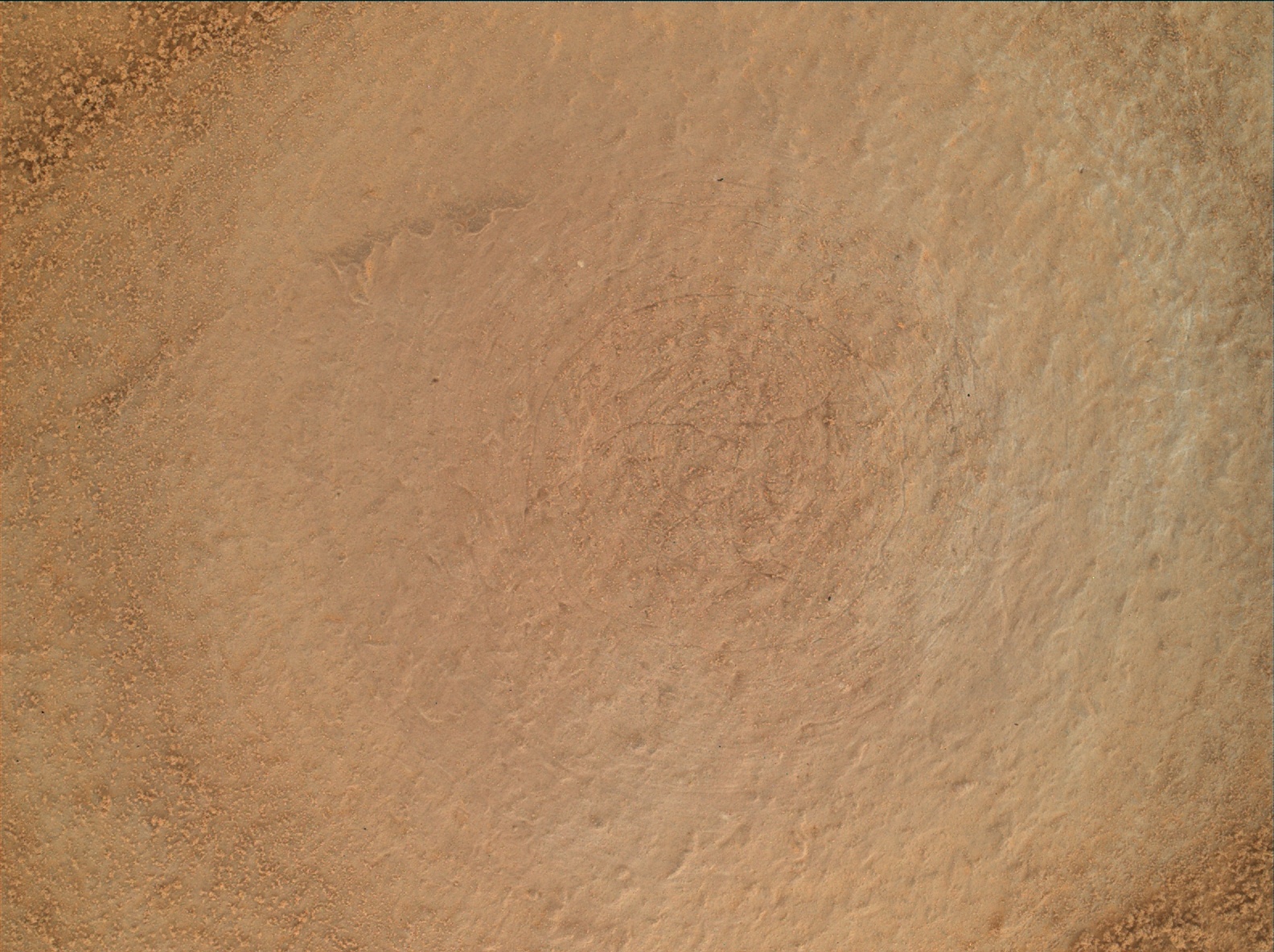 Nasa's Mars rover Curiosity acquired this image using its Mars Hand Lens Imager (MAHLI) on Sol 755