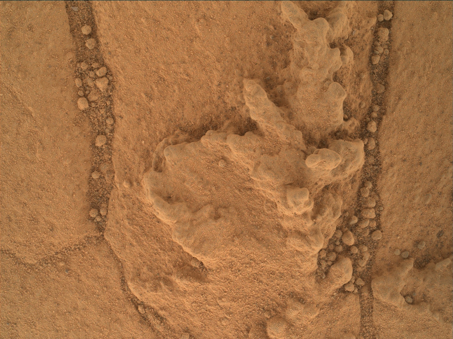 Nasa's Mars rover Curiosity acquired this image using its Mars Hand Lens Imager (MAHLI) on Sol 758