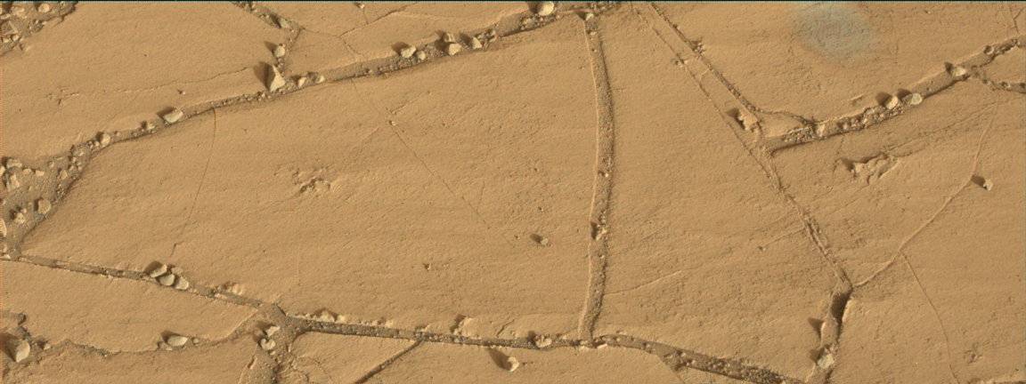 Nasa's Mars rover Curiosity acquired this image using its Mast Camera (Mastcam) on Sol 765