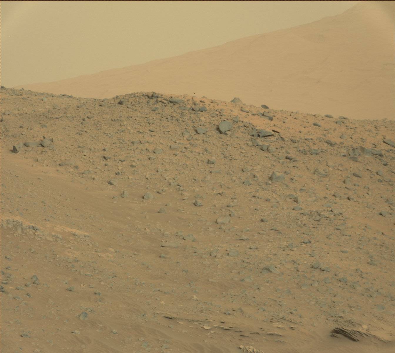Nasa's Mars rover Curiosity acquired this image using its Mast Camera (Mastcam) on Sol 771