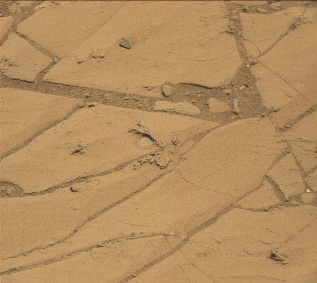 Nasa's Mars rover Curiosity acquired this image using its Mast Camera (Mastcam) on Sol 773