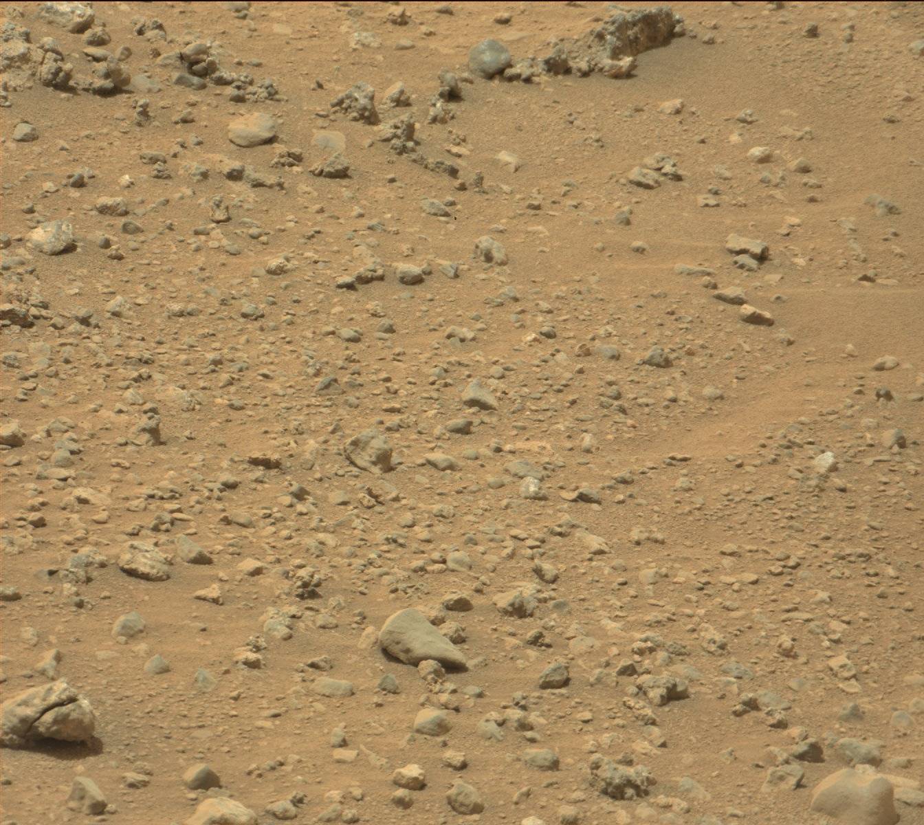 Nasa's Mars rover Curiosity acquired this image using its Mast Camera (Mastcam) on Sol 780