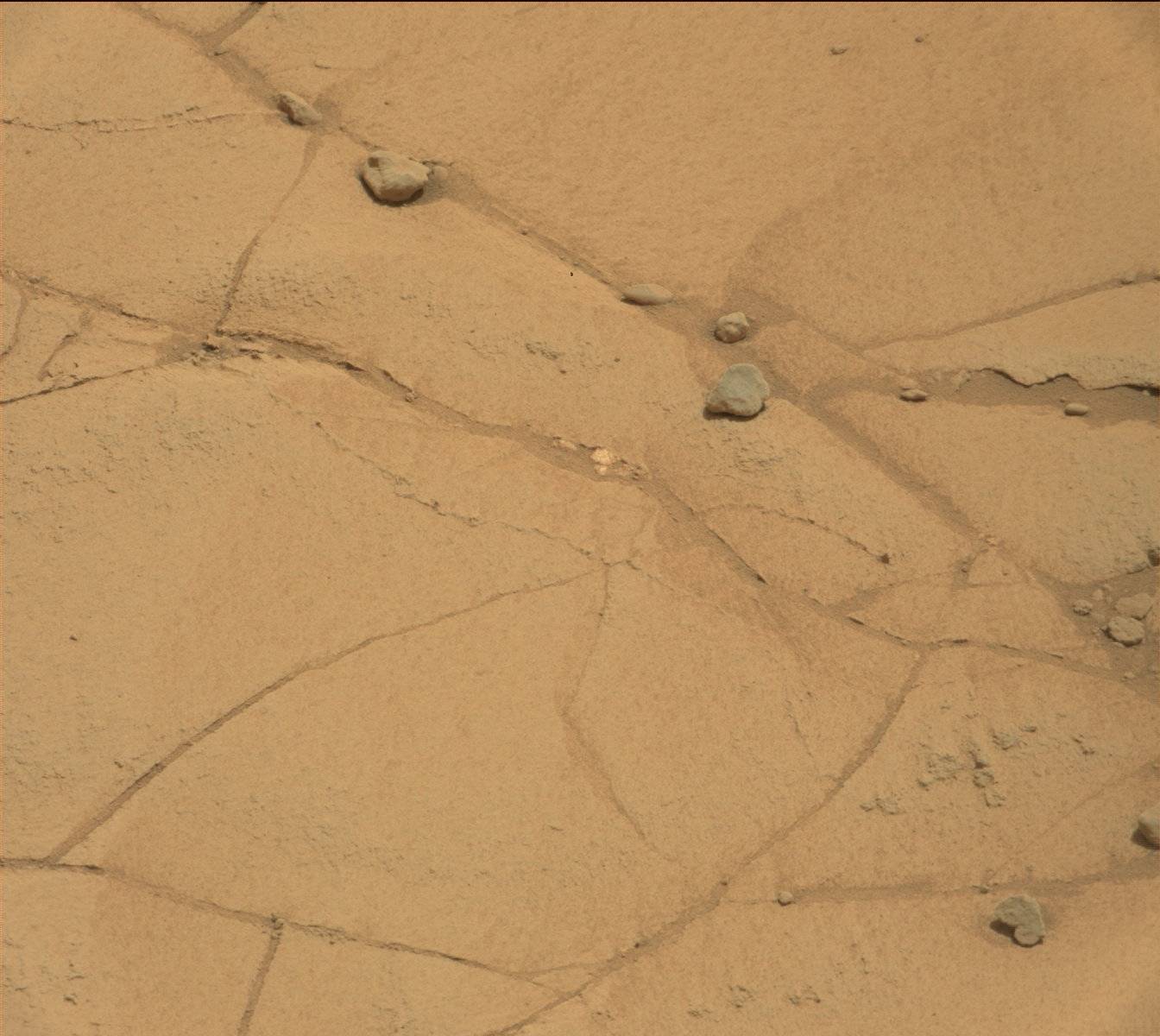 Nasa's Mars rover Curiosity acquired this image using its Mast Camera (Mastcam) on Sol 781