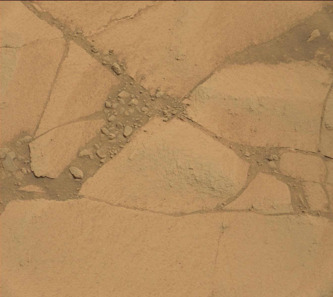 Nasa's Mars rover Curiosity acquired this image using its Mast Camera (Mastcam) on Sol 781