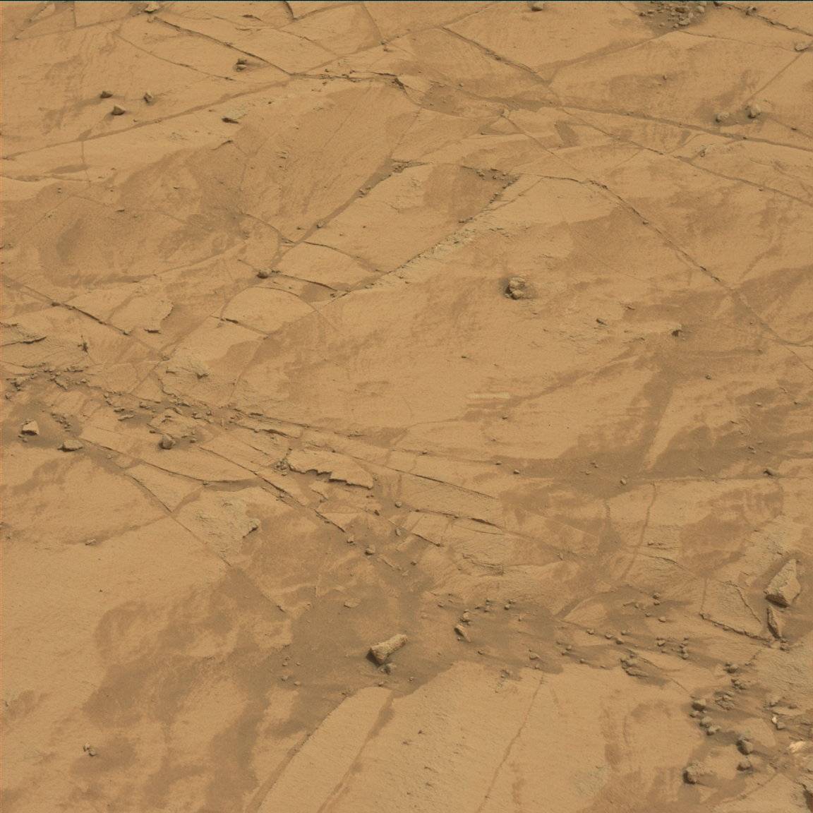 Nasa's Mars rover Curiosity acquired this image using its Mast Camera (Mastcam) on Sol 786