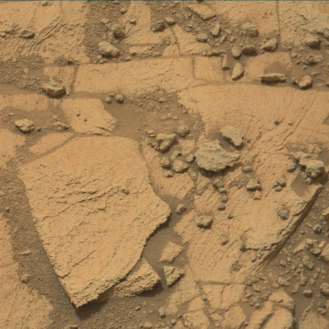 Nasa's Mars rover Curiosity acquired this image using its Mast Camera (Mastcam) on Sol 790