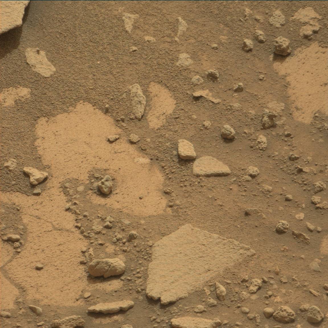 Nasa's Mars rover Curiosity acquired this image using its Mast Camera (Mastcam) on Sol 791