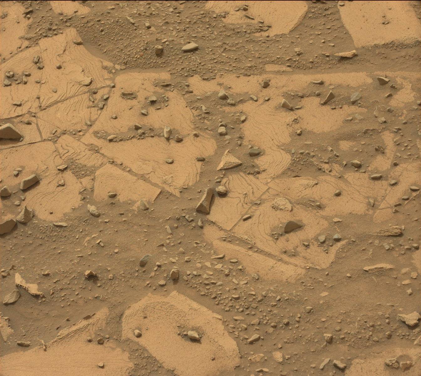 Nasa's Mars rover Curiosity acquired this image using its Mast Camera (Mastcam) on Sol 792
