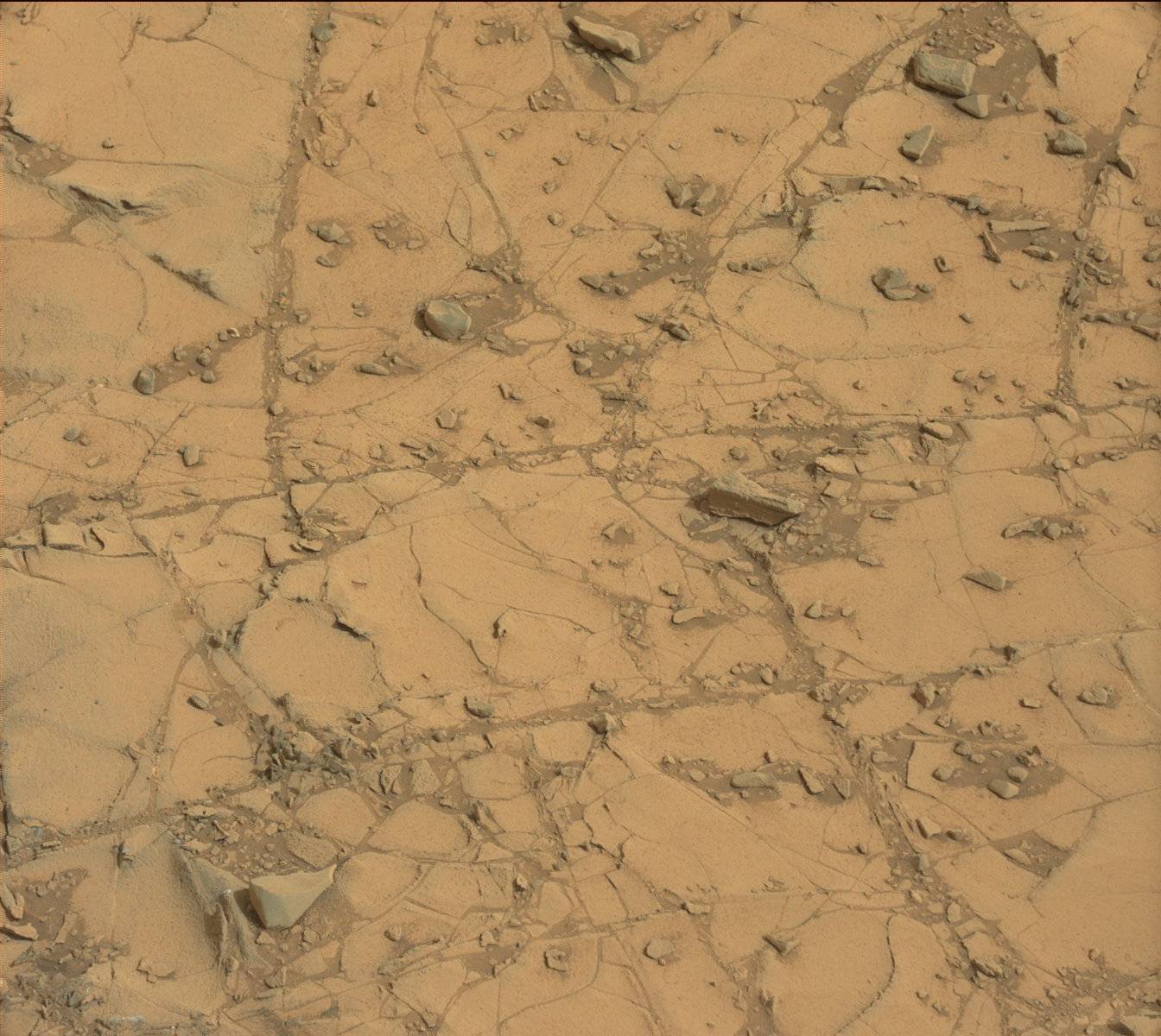 Nasa's Mars rover Curiosity acquired this image using its Mast Camera (Mastcam) on Sol 794