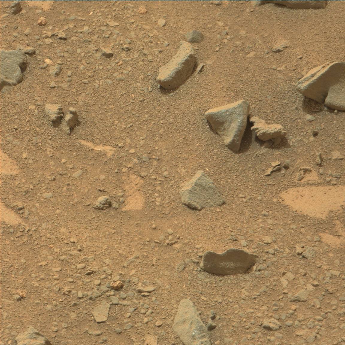 Nasa's Mars rover Curiosity acquired this image using its Mast Camera (Mastcam) on Sol 795