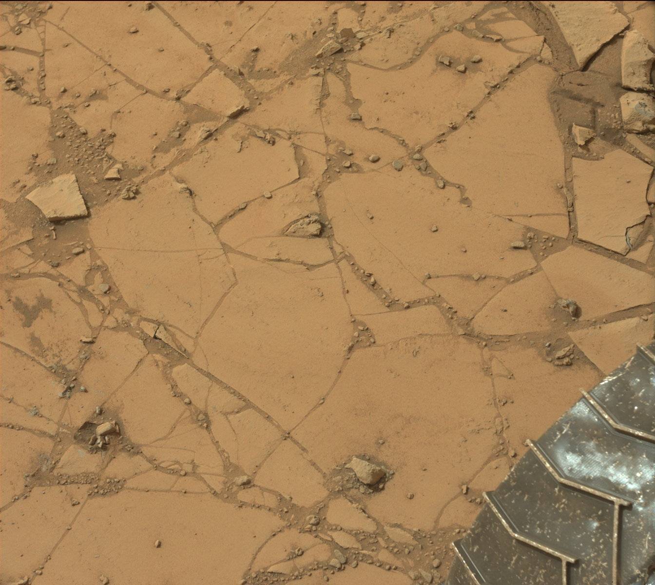 Nasa's Mars rover Curiosity acquired this image using its Mast Camera (Mastcam) on Sol 797