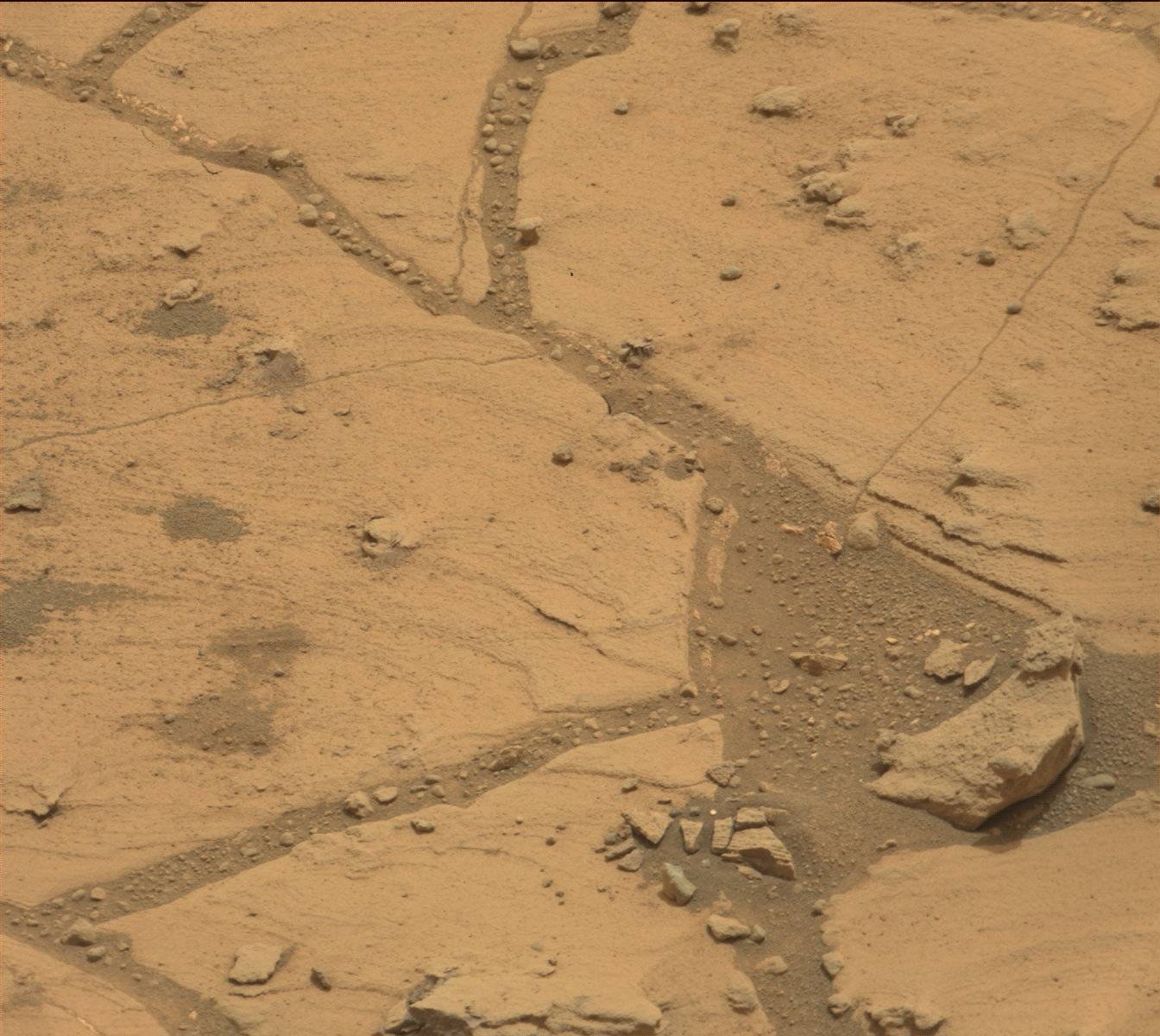 Nasa's Mars rover Curiosity acquired this image using its Mast Camera (Mastcam) on Sol 799