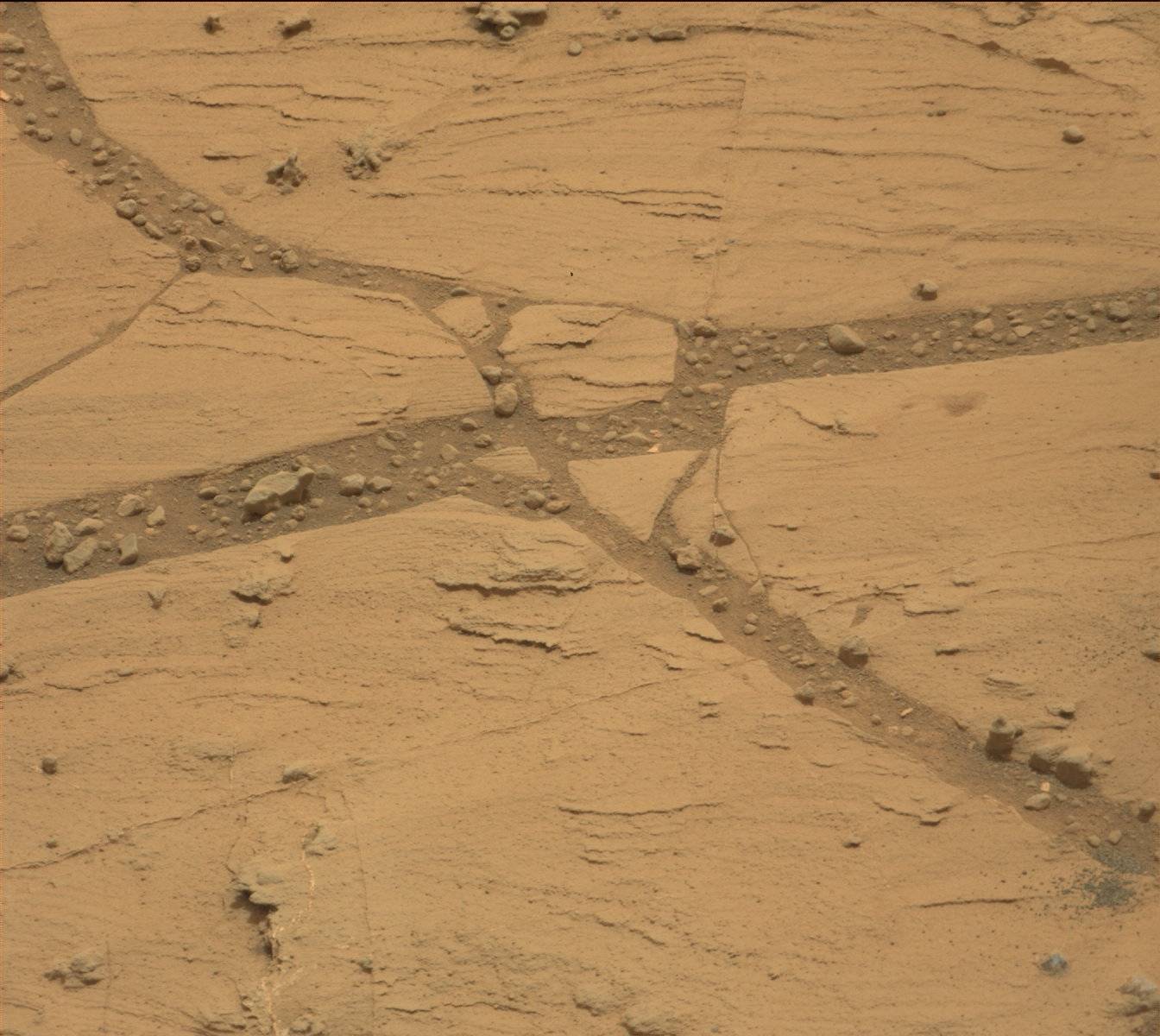 Nasa's Mars rover Curiosity acquired this image using its Mast Camera (Mastcam) on Sol 799