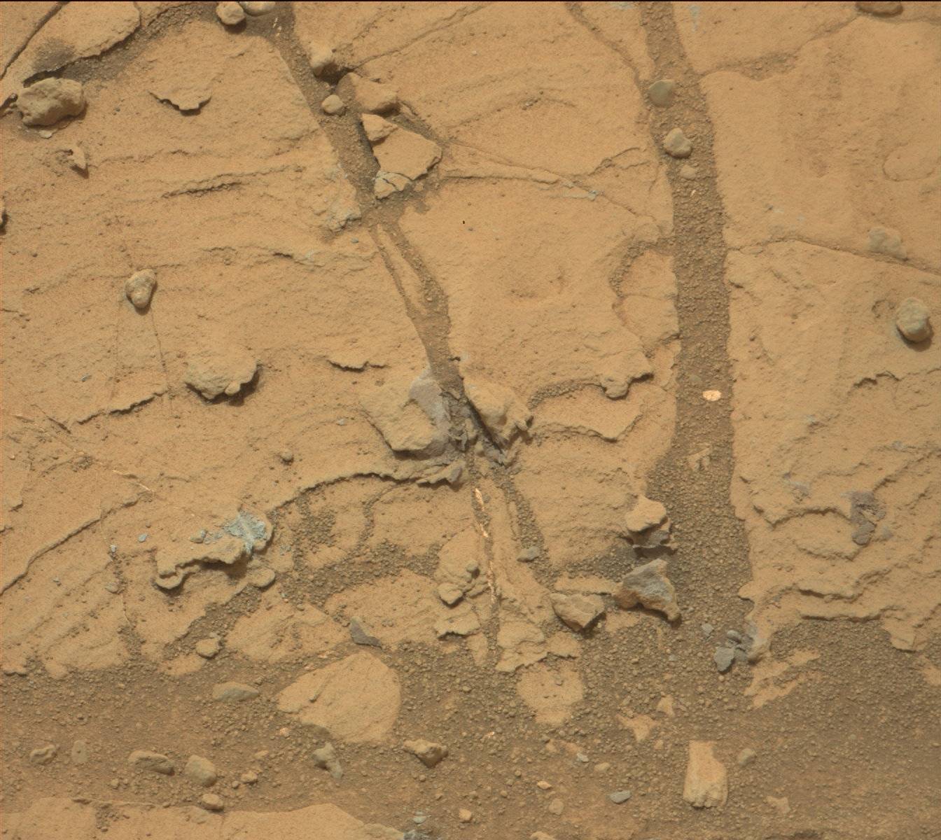 Nasa's Mars rover Curiosity acquired this image using its Mast Camera (Mastcam) on Sol 806